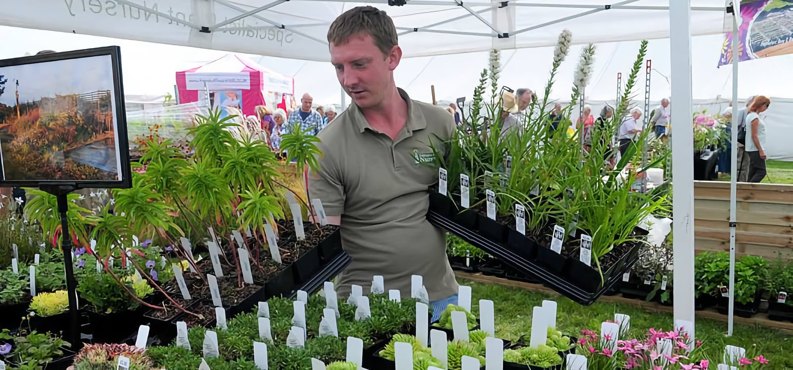 Photograph of gardening display