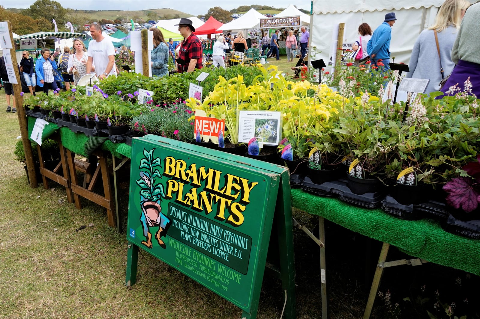 Photograph of gardening display